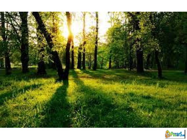 Prodavam Zemja Za Vikendica