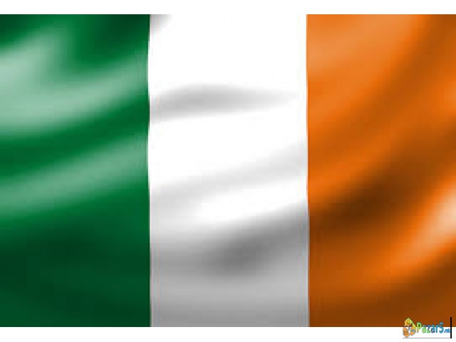 Rabota Vo Irska -zavaruvaci So Co2 Mig Welders