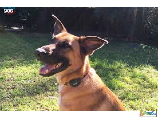 Gps  Lokatori Za Site Nameni Za Kola ,za Vasata Fi