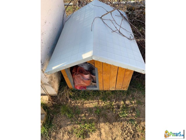 Nova Kukarka Za Kuce