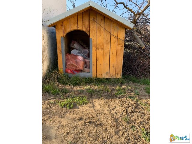 Nova Kukarka Za Kuce