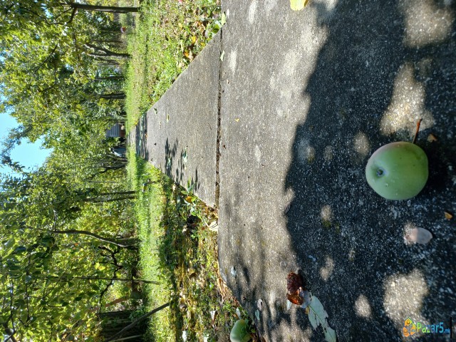 Куќа во Радишани 