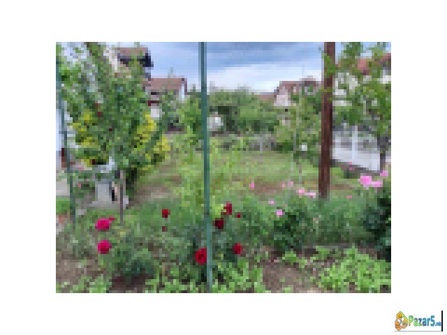 Kuka Radishani Kaj Radadnikot