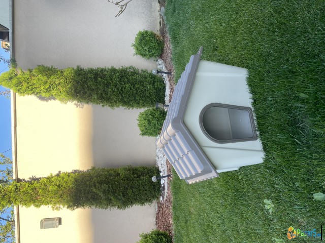 Куќа за куче