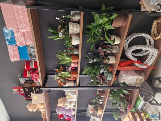 Se Prodavaat Stalazi I Biro 