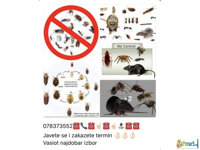 Dezinsekcija Deratizacija 