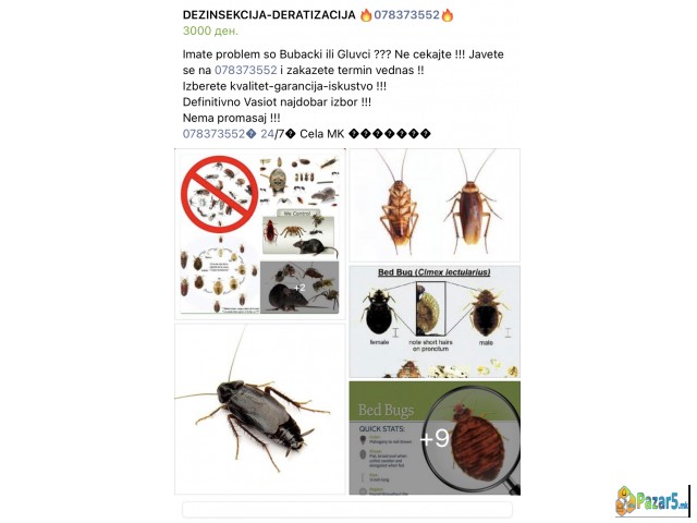 Dezinsekcija Deratizacija 