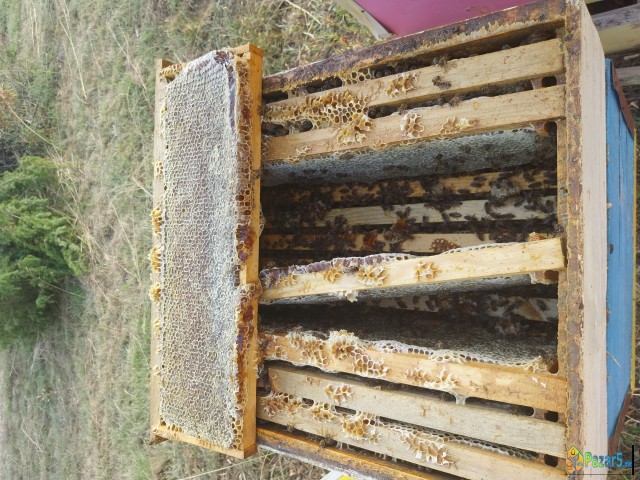 Природен Малешевски мед