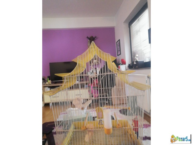 Кафез за птици