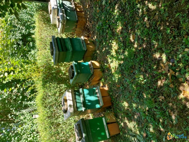 Продавам сандаци за пчели со рамки и хранилки и то