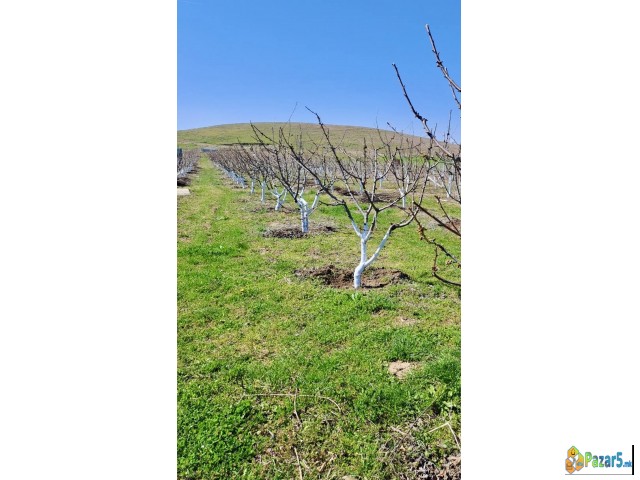 СЕ ПРОДАВА ОВОШТАРНИК ВО С. ВОЈНИК 