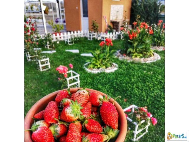 СЕ ПРОДАВА ОВОШТАРНИК ВО С. ВОЈНИК 