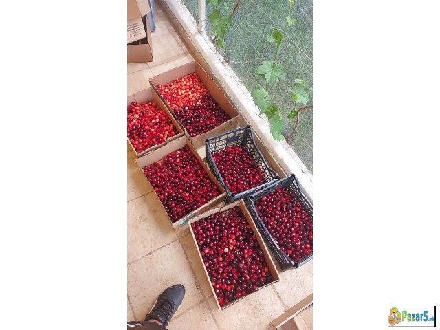 СЕ ПРОДАВА ОВОШТАРНИК ВО С. ВОЈНИК 