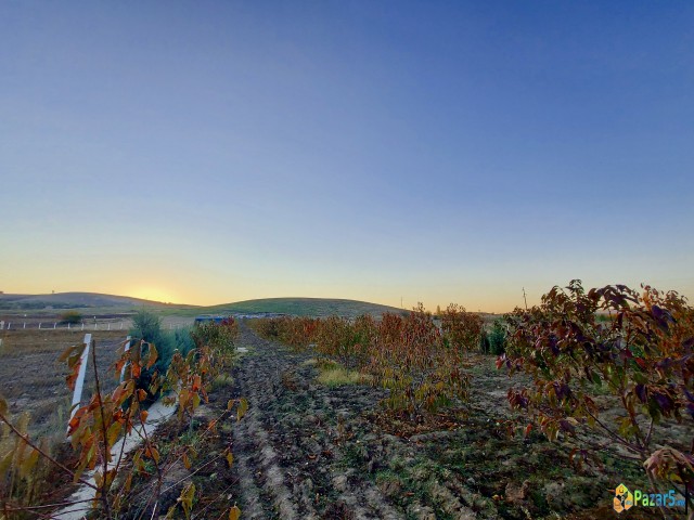 СЕ ПРОДАВА ОВОШТАРНИК ВО С. ВОЈНИК 