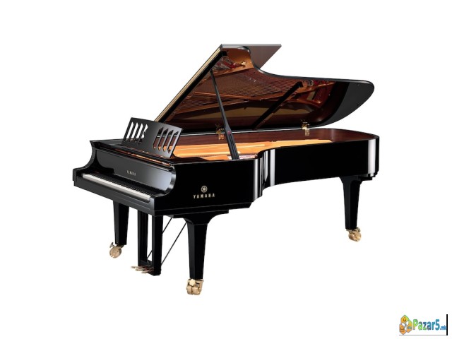 Privatni Casovi Po Pijano