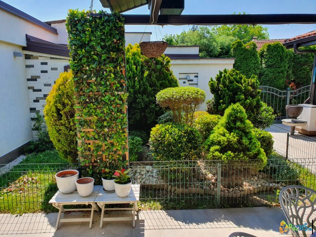 Prodavam Kuka Vo Naselba Lisice