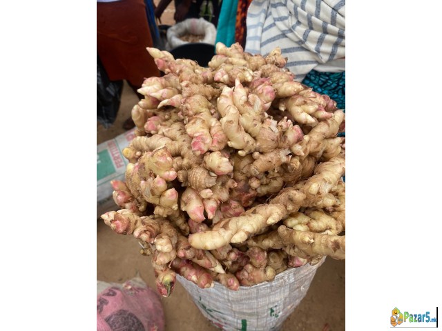 Camseafoodworldwide.com