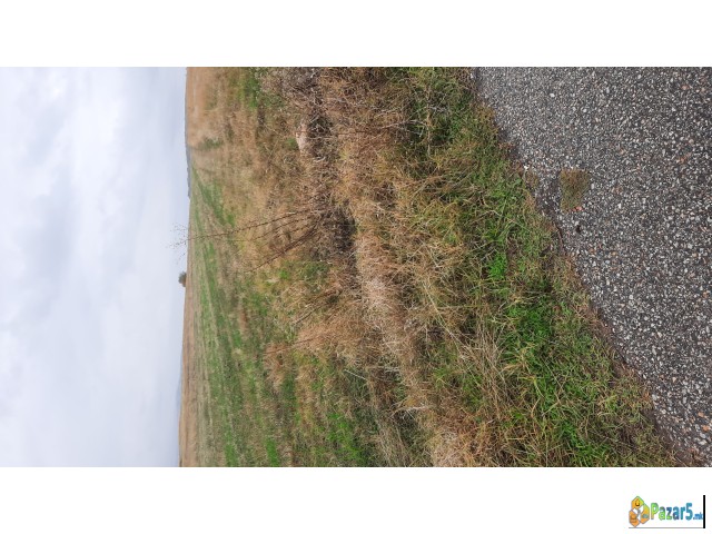 Se Prodava Niva Na Mesto Vojnik Do Asvalt 