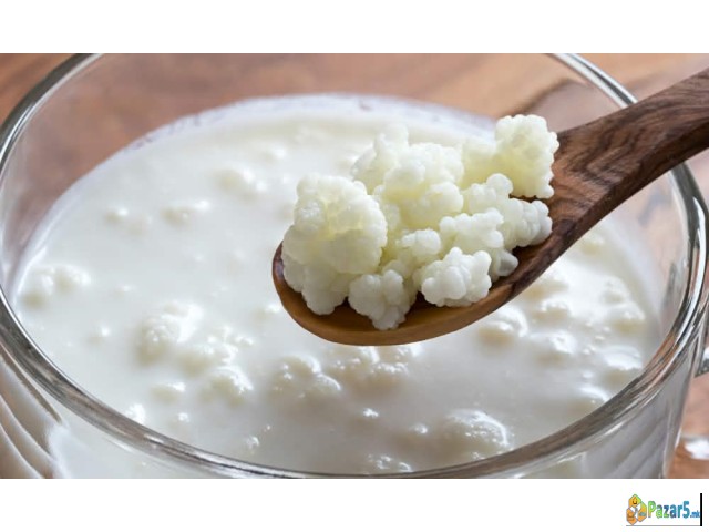 ???? Priroden Kefir – 